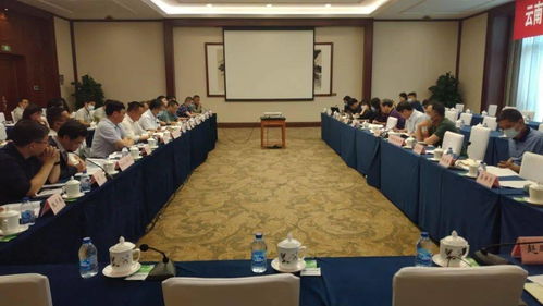 桃源水庫工程可行性研究報告技術咨詢會在京圓滿召開